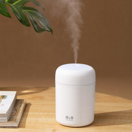 Humidificador h2o